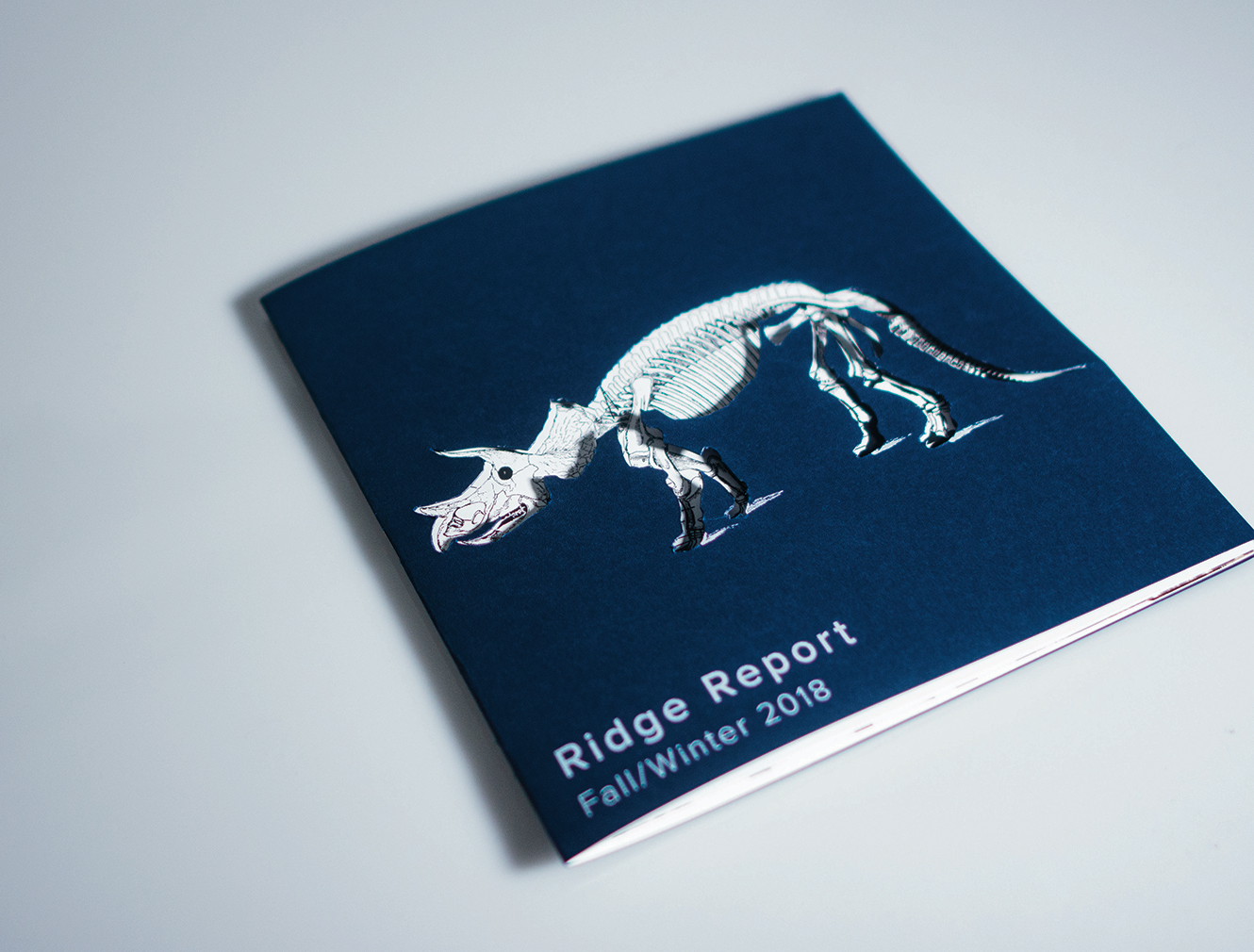dinosaur ridge annual report