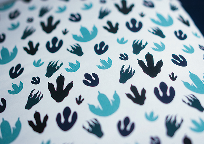 dinosaur ridge annual report pattern