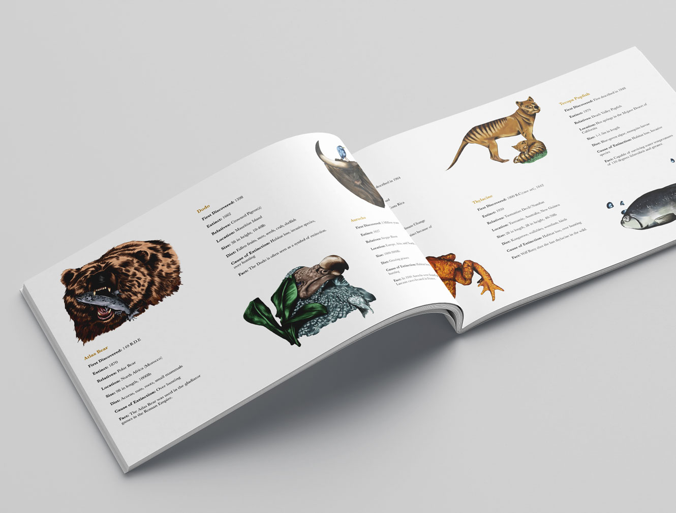 extinct animals booklet inside spread