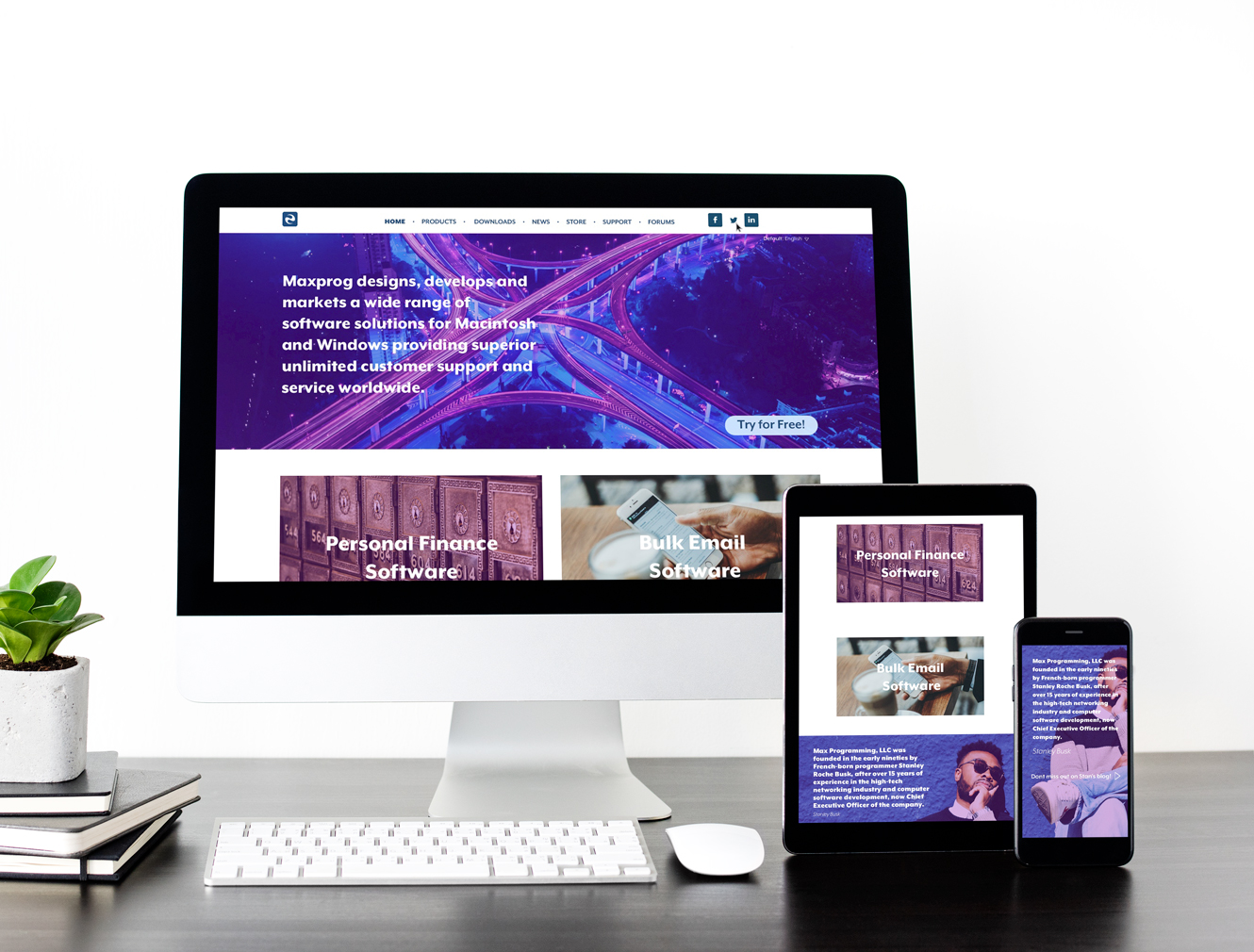 Anatomy of the Fairy Blue Penguin